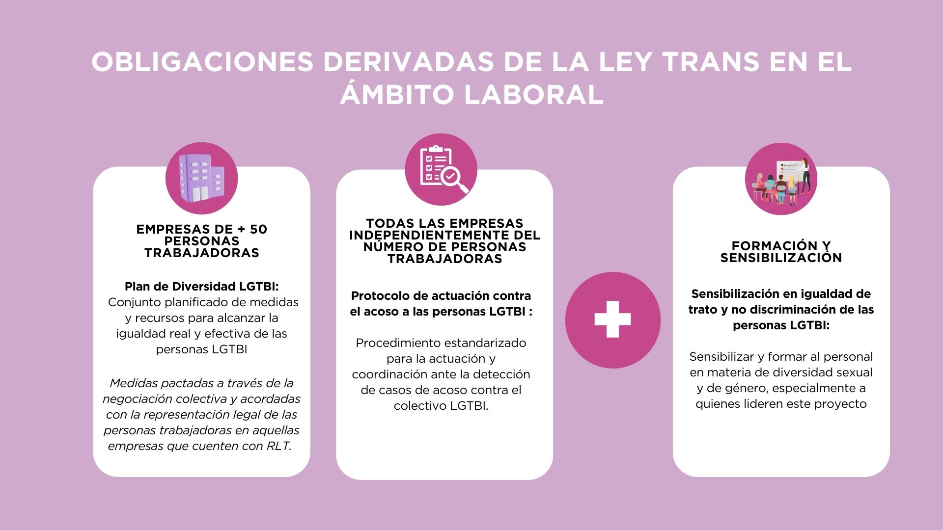 plan-lgtbi-diagrama-de-obligaciones