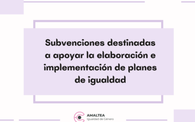 Subvención: Elaboración e implementación Planes de Igualdad